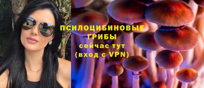 Псилоцибиновые грибы Cubensis  гидра ссылки  Горняк 